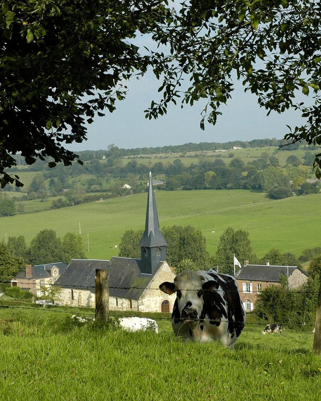 Gite "Le Refuge" Dans Un Domaine De 7Ha Au Calme Vimoutiers Esterno foto