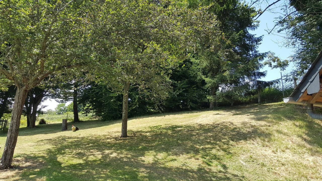 Gite "Le Refuge" Dans Un Domaine De 7Ha Au Calme Vimoutiers Esterno foto